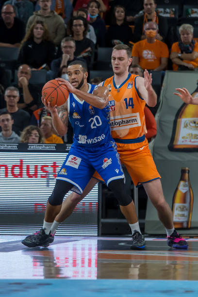 自己的稳健 自己的稳健